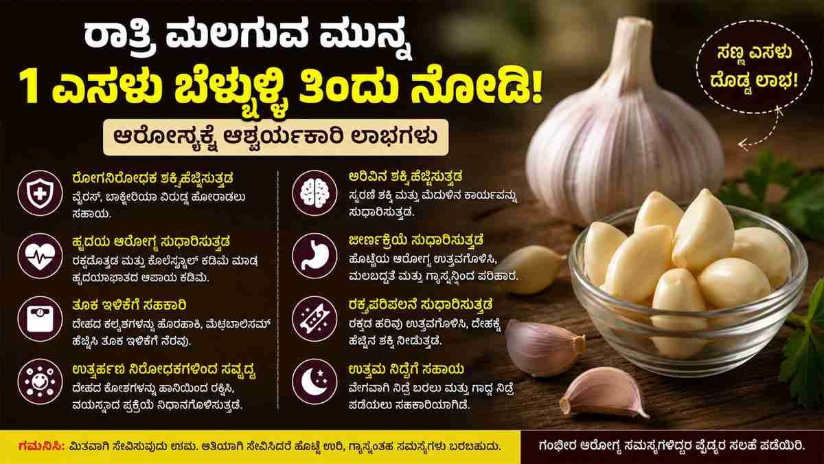 ರಾತ್ರಿ ಮಲಗುವ ಮುನ್ನ 1 ಎಸಳು ಬೆಳ್ಳುಳ್ಳಿ ತಿಂದರೆ ಏನಾಗುತ್ತೆ?