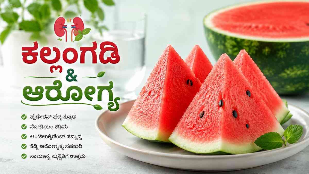 ಕಲ್ಲಂಗಡಿ ಹಣ್ಣು ಕಿಡ್ನಿಗೆ ಹಾನಿಕಾರಕವೇ?