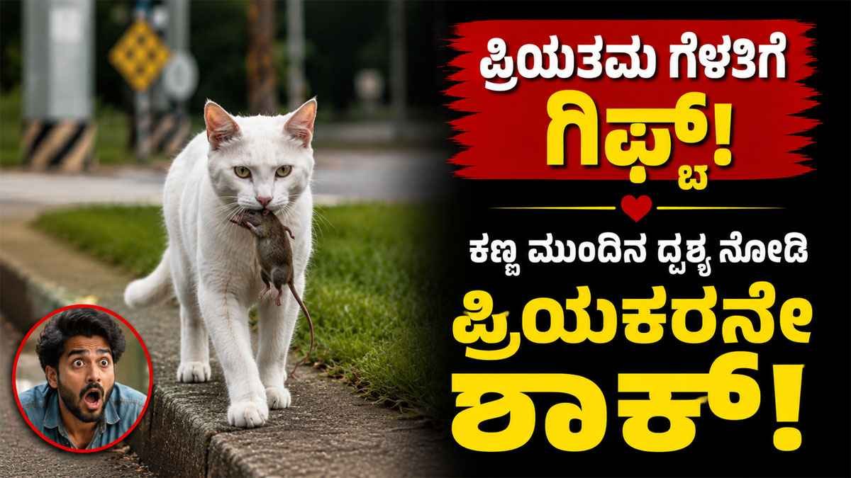 ಪ್ರೀತಿಯ ಗೆಳತಿಗೆ ಗಿಫ್ಟ್; ಕಣ್ಣ ಮುಂದಿನ ದೃಶ್ಯ ನೋಡಿ ಪ್ರಿಯಕರನೇ ಶಾಕ್!