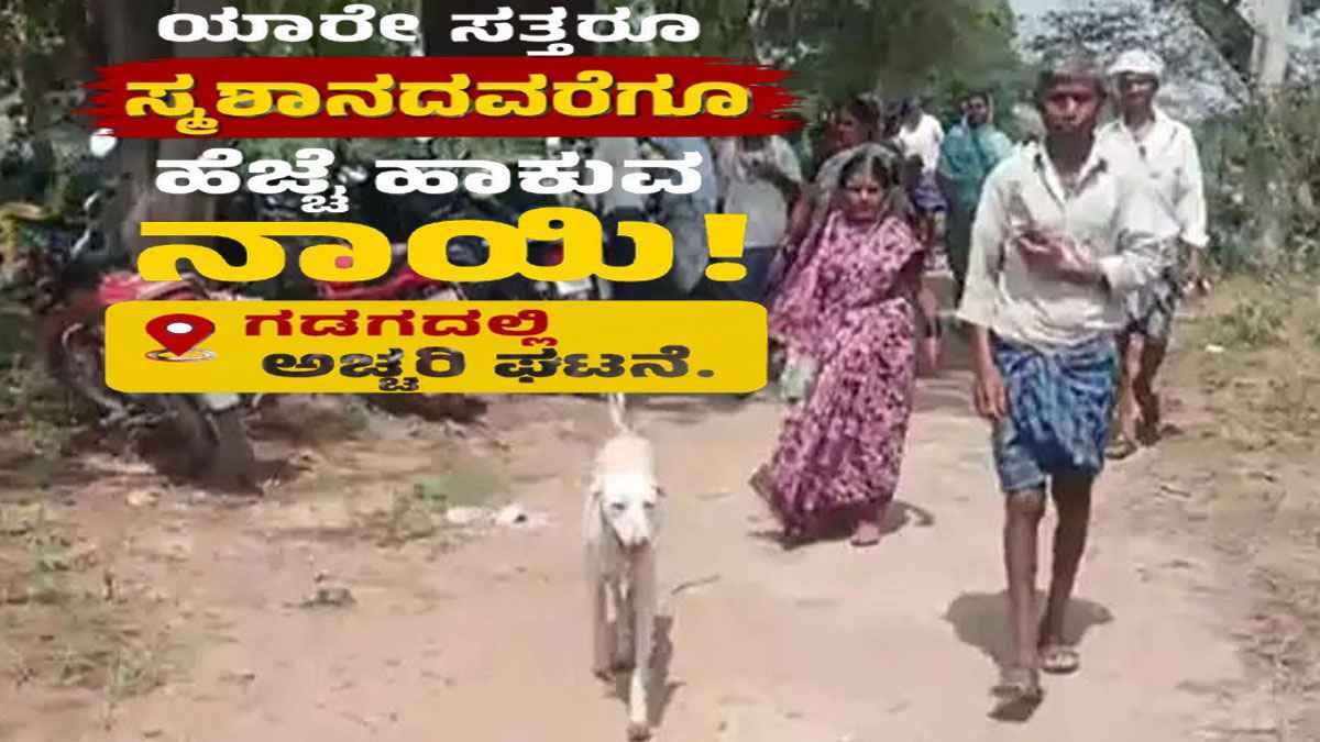 ಯಾರೇ ಸತ್ತರೂ ಸ್ಮಶಾನದವರೆಗೂ ಹೆಜ್ಜೆ ಹಾಕುವ ನಾಯಿ; ಗದಗದಲ್ಲಿ ಅಚ್ಚರಿ ಘಟನೆ.