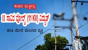 ಕುಡಿದ ಮತ್ತಿನಲ್ಲಿ 11 ಸಾವಿರ ವೋಲ್ಟ್ ವಿದ್ಯುತ್ ತಂತಿ ಮೇಲೆ ಮಲಗಿದ ವ್ಯಕ್ತಿ