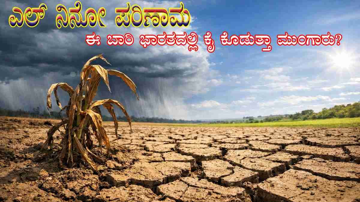 ಎಲ್ ನಿನೋ ಪರಿಣಾಮ: ಈ ಬಾರಿ ಭಾರತದಲ್ಲಿ ಕೈ ಕೊಡುತ್ತಾ ಮುಂಗಾರು?