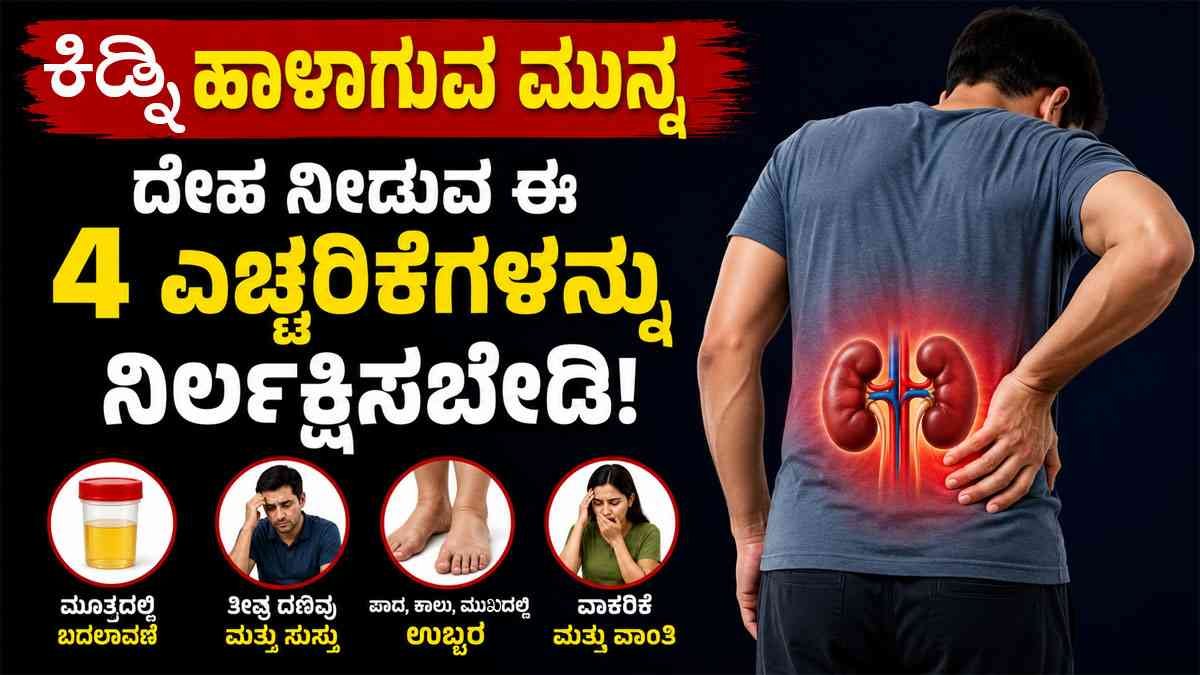 ಕಿಡ್ನಿ ಹಾಳಾಗುವ ಮುನ್ನ ದೇಹ ನೀಡುವ ಈ 4 ಎಚ್ಚರಿಕೆಗಳನ್ನು ನಿರ್ಲಕ್ಷಿಸಬೇಡಿ!