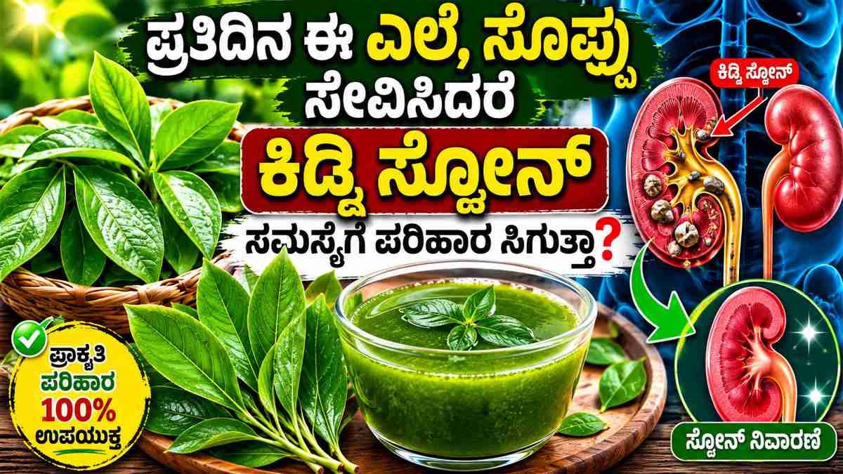 ಕಿಡ್ನಿ ಸ್ಟೋನ್ ಸಮಸ್ಯೆಗೆ ಪರಿಹಾರ