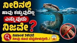ನೀರಿನಲ್ಲಿ ಹಾವು ಕಚ್ಚುವುದಿಲ್ಲ ಅನ್ನೋದು ನಿಜವೇ?