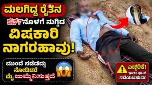 ಮಲಗಿದ್ದ ರೈತನ ಶರ್ಟ್ನೊಳಗೆ ನುಗ್ಗಿದ ವಿಷಕಾರಿ ನಾಗರಹಾವು