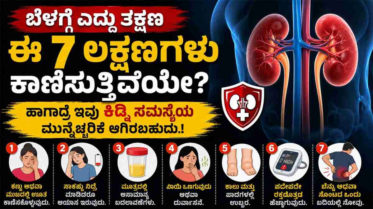ಕಿಡ್ನಿ ಸಮಸ್ಯೆಯ ಮುನ್ನೆಚ್ಚರಿಕೆ