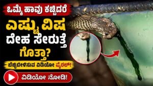 ಒಮ್ಮೆ ಹಾವು ಕಚ್ಚಿದರೇ ಎಷ್ಟು ವಿಷ ದೇಹ ಸೇರುತ್ತೆ ಗೊತ್ತಾ?