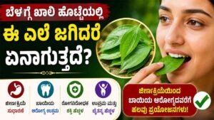 ಪೇರಳೆ ಎಲೆ ತಿಂದರೆ ಎಷ್ಟೊಂದು ಪ್ರಯೋಜನ.