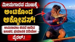 ಆಕ್ಟೋಪಸ್