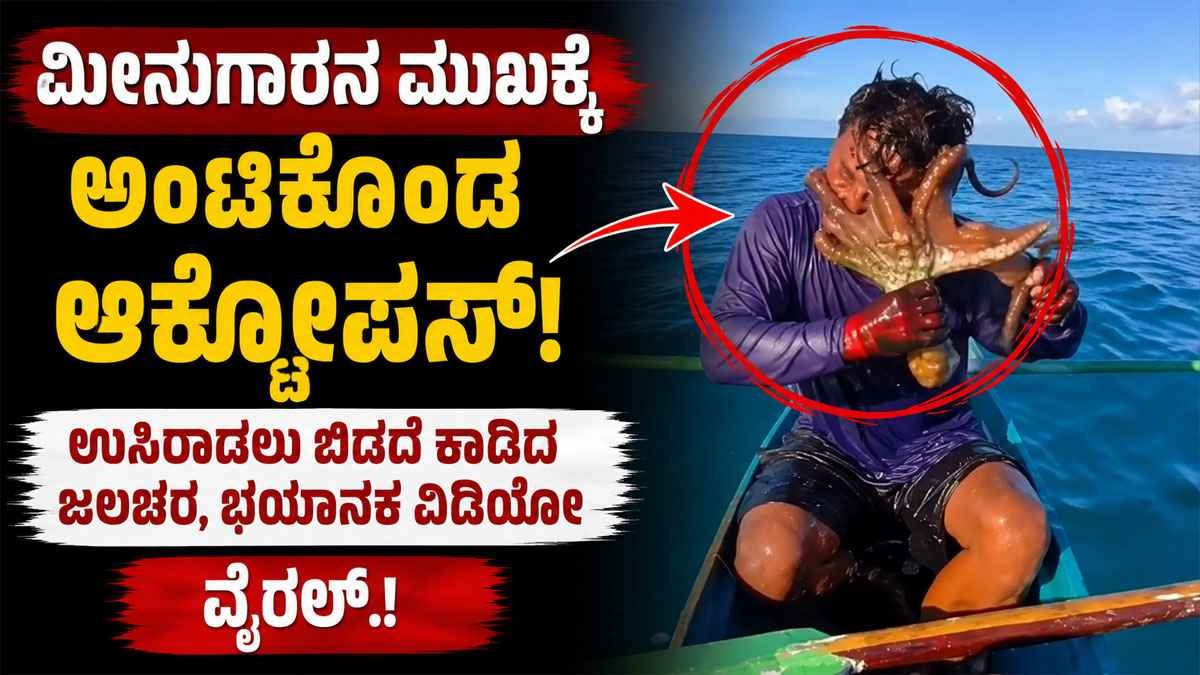 ಆಕ್ಟೋಪಸ್