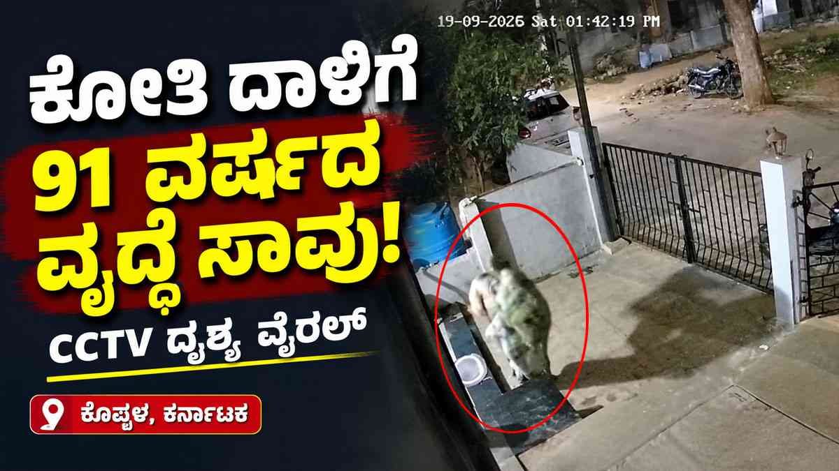 ಹಠಾತ್ ದಾಳಿ ಮಾಡಿದ ಕೋತಿ