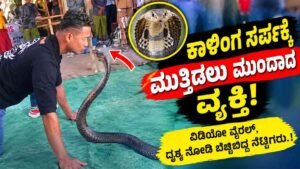 ಕಾಳಿಂಗ ಸರ್ಪಕ್ಕೆ ಮುತ್ತಿಡಲು ಮುಂದಾದ ವ್ಯಕ್ತಿ