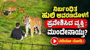 ನಿರ್ಬಂಧಿತ ಹುಲಿ ಆವರಣದೊಳಗೆ ಪ್ರವೇಶಿಸಿದ ವ್ಯಕ್ತಿ