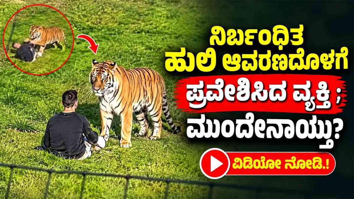 ನಿರ್ಬಂಧಿತ ಹುಲಿ ಆವರಣದೊಳಗೆ ಪ್ರವೇಶಿಸಿದ ವ್ಯಕ್ತಿ